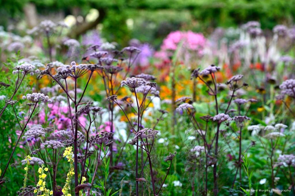 June Blake’s tuin in Ierland van aparte schoonheid